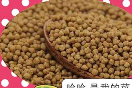 草龟只喂龟粮可以吗