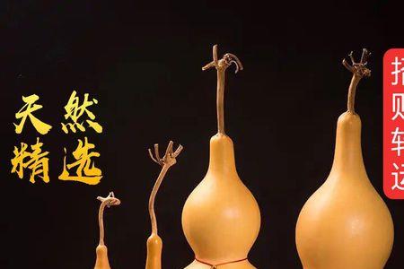 客厅悬挂葫芦绑腰还是绑龙头