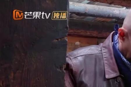 什么什么崩溃