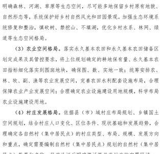 河南村庄规划编制什么意思