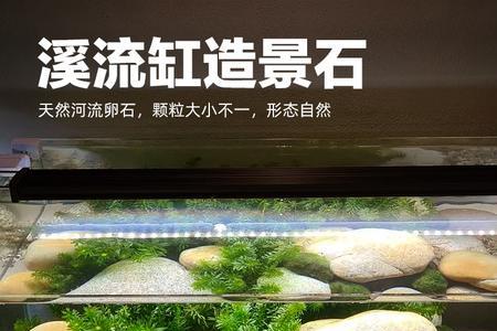 溪流缸要不要鱼缸垫