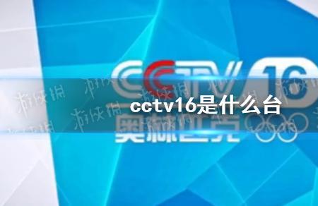央视的节目有什么特征