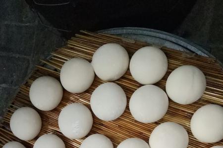 馒头酵子怎么做