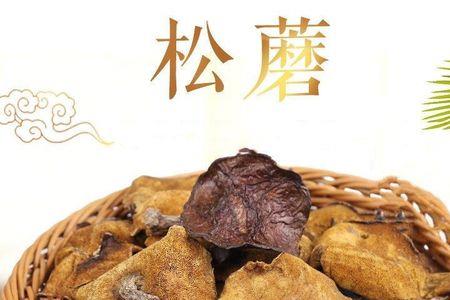 松产蘑和松伞蘑是一种蘑菇吗