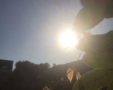 太阳的23度26分情话什么意思
