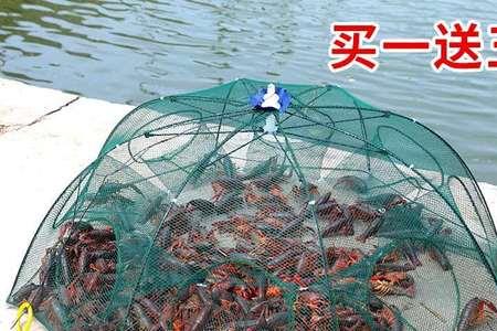 用虾网捕小鱼虾合法吗