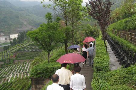 成都磨盘山公墓今年开放时间