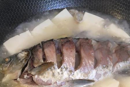鲫鱼熬豆腐是怎么做的