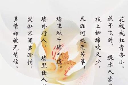 智者不为情所困下一句