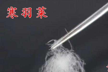 宣传90b鸭绒的是纯的么