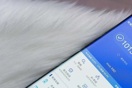 vivox80手机能自动记账吗