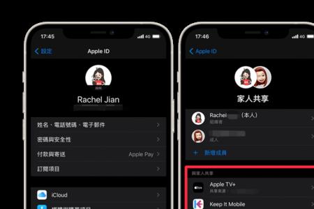ipad怎么不让家人共享位置