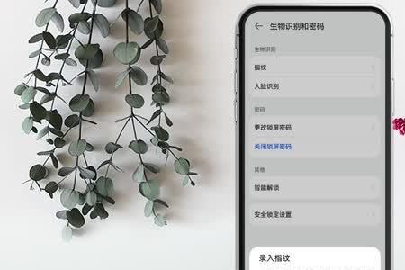 手机没有生物识别密码怎么办