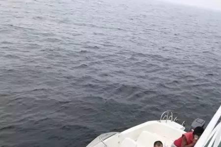 游艇出海有手机信号吗