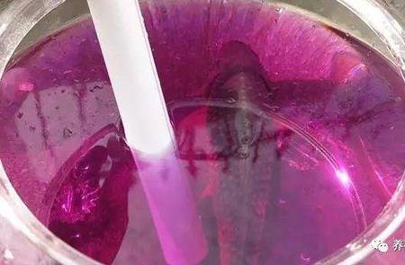 高锰酸钾溶液是有机物吗