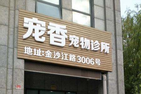 上海哪里有比较好的宠物医院