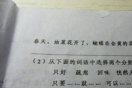 把仙人掌改成拟人句