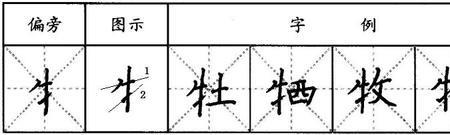 牛字旁一个反文旁是什么