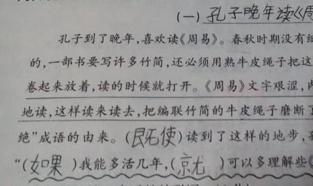 组文是什么意思