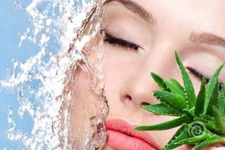 芦荟加黄瓜灌肤的正确做法在家