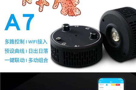 判断 珊瑚灯好坏