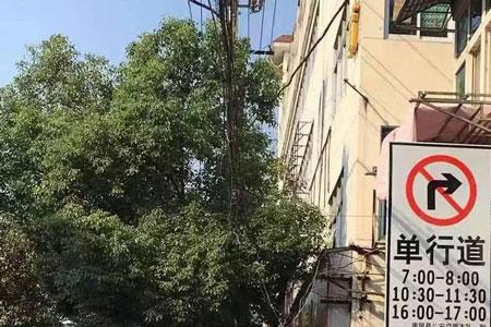 武汉步行街南路是单行道吗