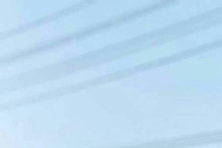类似卡斯罗的犬有哪些