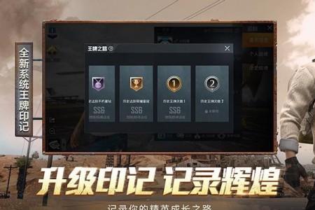和平精英非官方客户端怎么回事