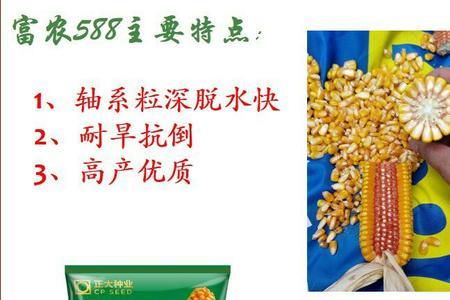 丰度778玉米产量如何