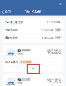 12123领了免检标志但看不到