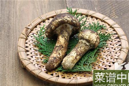 松茸一斤能吃几次