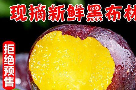 李子用陕西方言叫什么