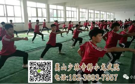 河南少林武术研究院学费