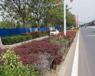 道路绿化归环卫还是环保