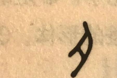 肉字旁怎么演变为月字旁
