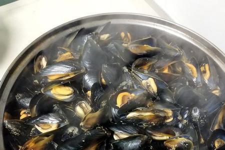 海虹可以两次加热吗