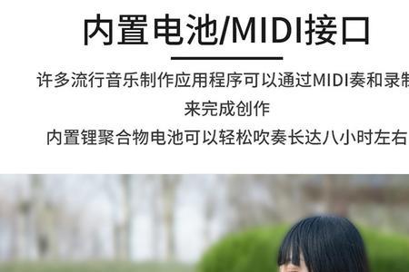 卓恩电吹管介绍