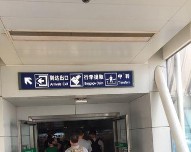 栎社机场国内出发在t1还是t2