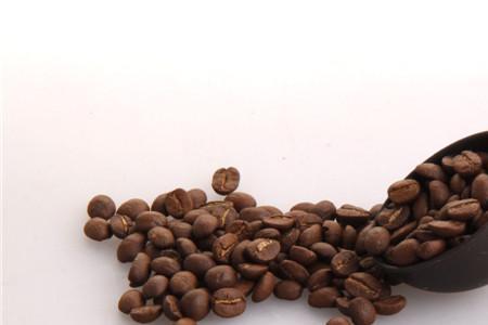 16g咖啡豆大概多少