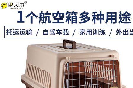 成年马犬用多大航空箱