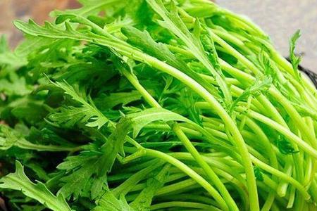 南北方蔬菜叫法