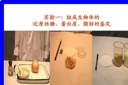 什么是发酵性糖