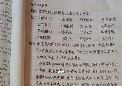 水浒传  读书笔记 四字成语