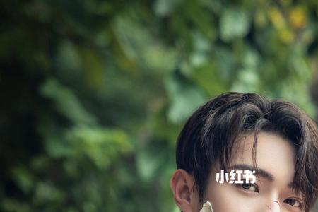 迷航昆仑墟进墓了吗