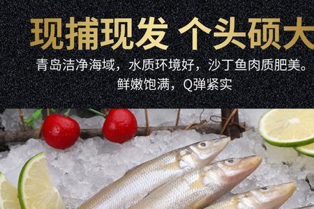 大沙丁鱼和小沙丁鱼的区别