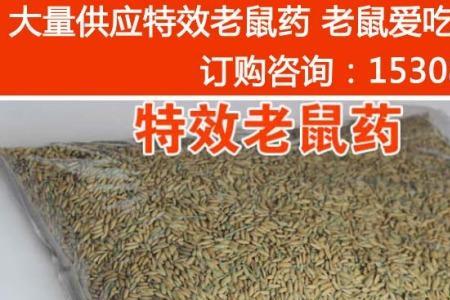 怎么自制老鼠药