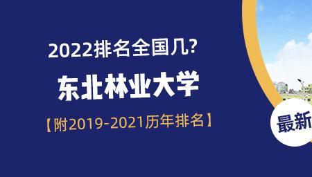 河南大学和东北林业大学哪个好