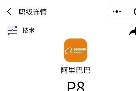 阿里t7什么级别