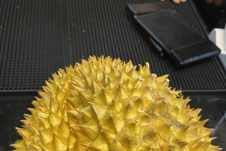 荔枝和榴莲是亲戚吗