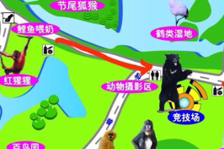 上海野生动物园不可以带的东西